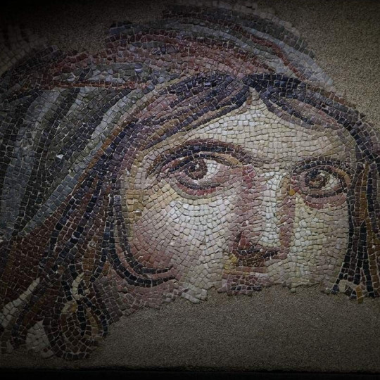 Zeugma Mozaik Müzesi'ndeki ünlü Çingene Kızı mozaiği